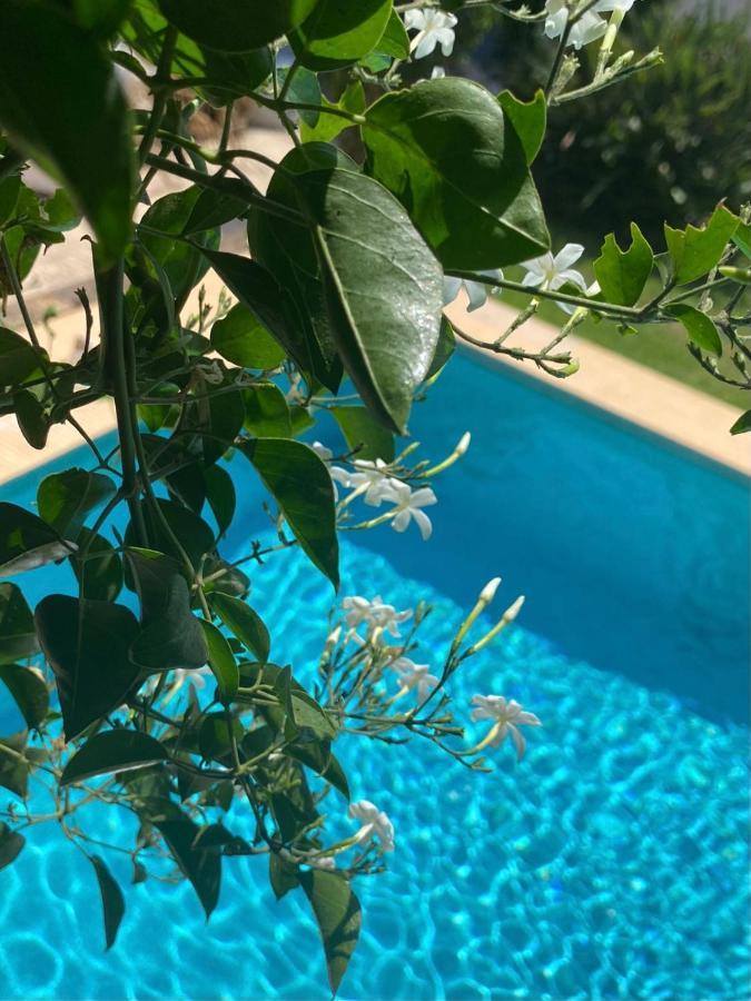 Jávea Beautiful Villa With Pool, Barbecue, And Garden מראה חיצוני תמונה